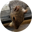 Kim S profile picture